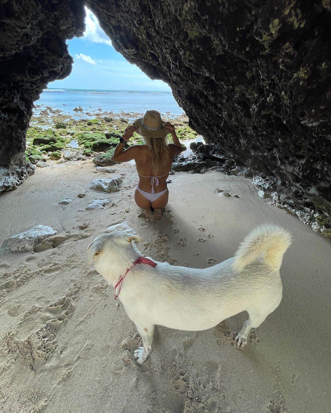 リンゼイ・ジャコベリスのインスタグラム：「Photo bombed by the local 🐕 😂」