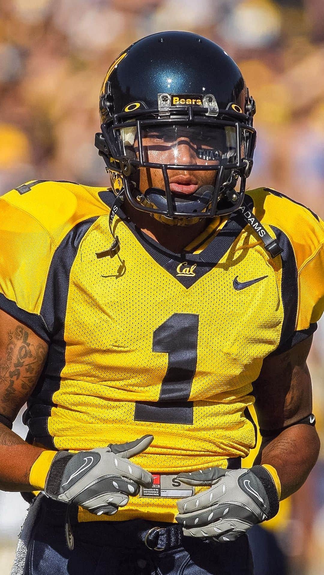 デショーン・ジャクソンのインスタグラム：「#TBT - There is nobody like the Wizard Of Returns 🪄  #GoBears」