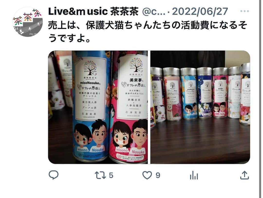 misoNosukeさんのインスタグラム写真 - (misoNosukeInstagram)「. . @mikarin.matsukubo の 周年イベントと  @chachacha_game の 周年パーティー  お疲れ様でした＆おめでとうございます！ 閉店するだなんて嫌すぎます…  ↓  #Repost @tokyohero24 with @use.repost  茶茶茶の7周年weeeekも 無事に終わりました！  御来店くださいました皆様 本当にありがとうございました！  幸せがたくさん詰まった時間でした(p_q* これからリニューアルに向けて  色々と準備を進めながら のんびりお店は開けておりますので  気軽に来てくださいませ\( ´ω` )/ 席やカラオケのチャージなど何もなし！  19時～24時 どれでも1杯500円。  @mikarin.matsukubo @beautytea_official @tsukaneko222 @tomiko_matsuba」8月11日 0時58分 - misono_koda_official