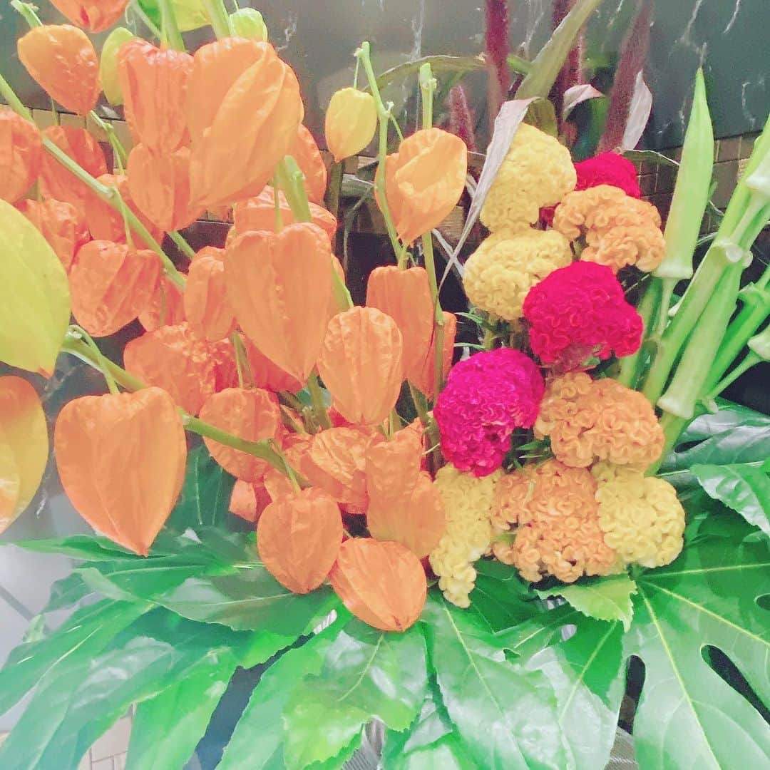 三浦泉さんのインスタグラム写真 - (三浦泉Instagram)「*♪¸¸.•*¨･:*ೄ·*♪¸¸.•*¨･:*ೄ*♪¸¸.•*¨･:*ೄ··*♪¸¸.•*¨･    日本橋三越 サロン　のお花💐✨🧡  初秋らしいお花が とても素晴らしかったです🎉🎉  *♪¸¸.•*¨･:*ೄ·*♪¸¸.•*¨･:*ೄ*♪¸¸.•*¨･:*ೄ··*♪¸¸.•*¨･  #サロン #お花 #パワースポット #日本橋三越  #三越本店 #izumiのお花めぐり #いずみーるのお花めぐり #イズミールのお花めぐり」8月11日 7時40分 - princessizu1201