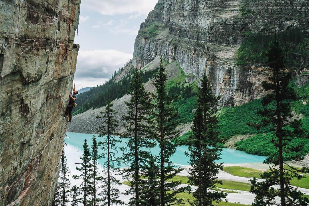トミー・コールドウェルのインスタグラム：「2300 miles of biking and we are finally switching out our bikes for boats. It’s cool to think about all the diverse environments we have traveled through by human power. From high passes of the Colorado Rockies, to the deserts of southern Wyoming. Through the Wind River range, past the Tetons, through Yellowstone, all the way across Montana and British Columbia, and now to the costal islands and mountains of Alaska. The world both grows and shrink when traveling by human power.    On this trip, I read the book, The Hidden Life Of Trees by Peter Wohlleben, which has me paying closer attention to the forests. As we know, fires are running rampant in Canada this summer. I thought the Central part of British Columbia would be vast untouched  forests. It turns out basically everything we have passed outside of the national parks has been harvested. And big sections of the parks have burned. I had no idea how little old growth is left. From a carbon and bio diversity standpoint, protecting old growth is one of the best things we can do. We are making a film and therefore this trip is far from being low carbon, but for me it is a proof of concept. I now believe it’s not only possible to see and learn about vast areas of the world by bike, it’s grows the magnitude of the adventure immensely. 📸 @taylor._shaffer」
