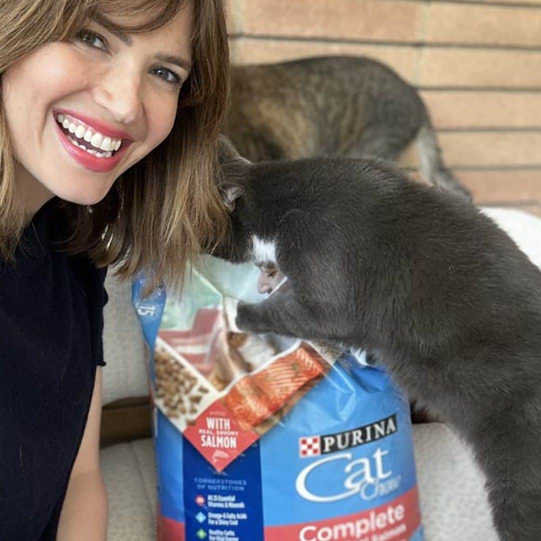 Cats of Instagramさんのインスタグラム写真 - (Cats of InstagramInstagram)「Calling all cat lovers! This year marks 60 years of @PurinaCatChow supporting the bond between cats and their owners. #ad As a life-long cat lover and mom of 3 rescues, cats have always been a big part of helping make @MandyMooremm’s life better (swipe left to see when her love for cats started!)  Join us in celebrating the positive impact of cats through Purina Cat Chow’s 60 Years, 60 Stories contest. Share a story about how your cat has made a difference and you could be featured in a new book celebrating the impact of cats. One selected storyteller will even win $10,000!  For more info and to share your story visit catchow.com/60years #CatChowPartner  NO PURCHASE NEC. Open to 50 U.S. & D.C., 18+ (or 19+ for AL & NE). Ends 11:59:59 PM CT on 8/13/23. See rules at www.60years.catchow.com/rules」8月11日 2時35分 - cats_of_instagram