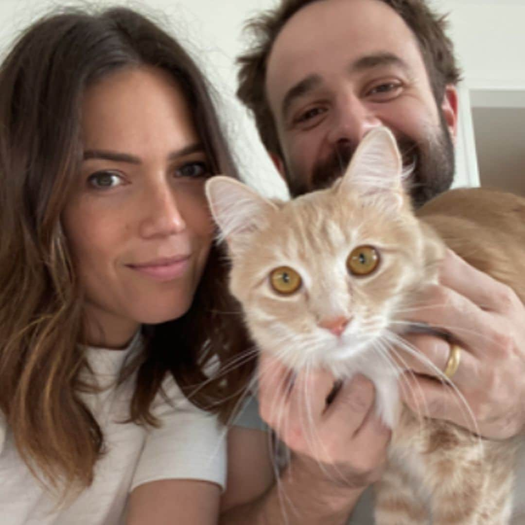 Cats of Instagramのインスタグラム：「Calling all cat lovers! This year marks 60 years of @PurinaCatChow supporting the bond between cats and their owners. #ad As a life-long cat lover and mom of 3 rescues, cats have always been a big part of helping make @MandyMooremm’s life better (swipe left to see when her love for cats started!)  Join us in celebrating the positive impact of cats through Purina Cat Chow’s 60 Years, 60 Stories contest. Share a story about how your cat has made a difference and you could be featured in a new book celebrating the impact of cats. One selected storyteller will even win $10,000!  For more info and to share your story visit catchow.com/60years #CatChowPartner  NO PURCHASE NEC. Open to 50 U.S. & D.C., 18+ (or 19+ for AL & NE). Ends 11:59:59 PM CT on 8/13/23. See rules at www.60years.catchow.com/rules」