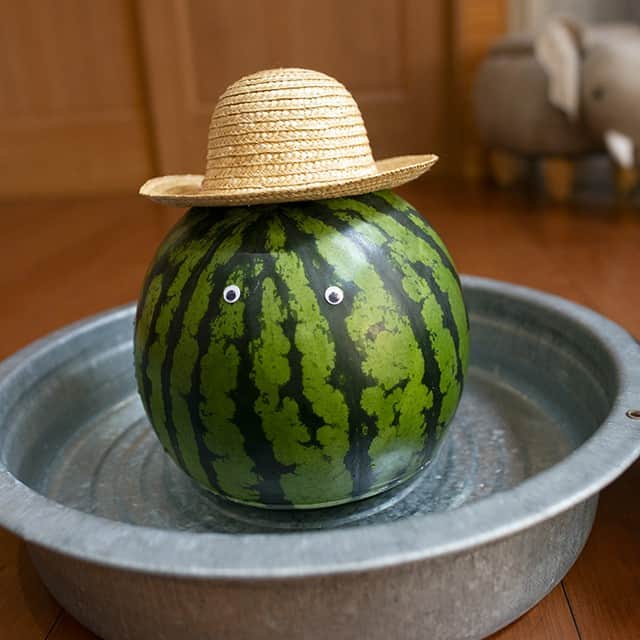まる & はなさんのインスタグラム写真 - (まる & はなInstagram)「スイカどんと記念撮影！ Commemorative photos with Watermelon man!」8月11日 15時47分 - maruhanamogu