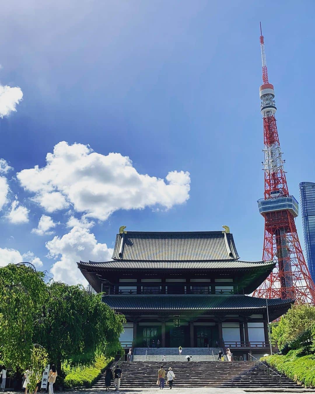佐藤朱のインスタグラム：「#増上寺　#命を想う夏  仕事帰りに増上寺へ  心を鎮めたい時に通っていた場所が 今は外国の観光客で やや浮き浮きとした空気に  暫し祈りの時間  銀シャリを見送る時 私はなるべく痛くないように 銀シャリのタイミングで逝けるように 最初から緩和ケアを選びました とても進行の速い病気と知ったからです  それでも 手術を選択する人も居ただろうし 同じく緩和ケアを選んだ人達の 心持ちもそれぞれ違うように感じました  死は その人のもの  私はどこかで そんな風に思っているのかもしれません もしかしたらドライなのかな？  銀シャリは愛でしかなかったから たくさんありがとうと大好きよを 伝えました  時々夢に出て来てくれるけど 私の事は忘れてもいいから 広い所で好きなだけ遊んでいてくれたら良いなあと思います  あのひとは 悔いのない死を迎えるのだろうか  私は悔いのないお別れをしたのだろうか 多分、大丈夫。 今はそう思っているけど なってみないとわからないですよね  長生き願望の無い私は 人の為に長生きを祈る事も難しく どうか楽であります様にと それでも珍しく祈りました  あれ？ 増上寺で祈るのは、正解？ 神社が良かった？？🤔  神様でも仏様でも先祖様でもいいから なるべく楽であります様に お力添えください 珍しく私が命を祈っているのだから  私はいつか 悔いなく死ぬ事が出来るかな？  #お盆 #命 #死とは何か #japan #tokyo  #zojoji  #pray」
