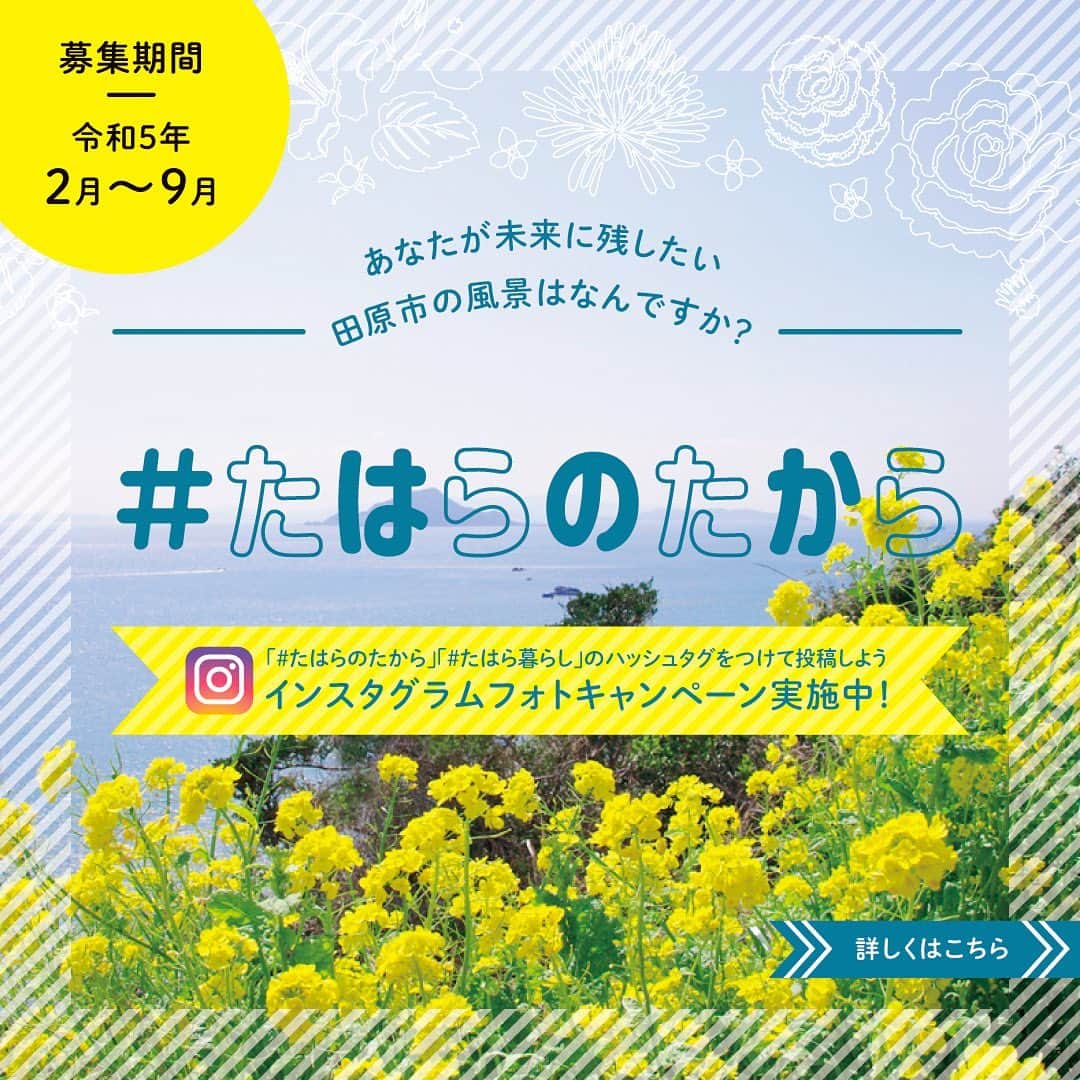 愛知県田原市のインスタグラム：「Pass on the treasures of Tahara City to the future. * 未来へたはらのたからを伝えよう✨ * あなたの好きなたはらの風景 あなたの日常にあるたはらの暮らし はなんですか😌？  「未来に残したい風景」「田原市の宝」をテーマとした写真を募集！  田原市がつくる総合計画の #フォトキャンペーン を開催しています✨  【応募方法】 ①この田原市公式アカウント（tahara_kurashi）をフォロー👏 ②テーマの写真を撮影📸 ③ #たはら暮らし#たはらのたから をつけて投稿✨  思い出エピソードやコメントも一緒に投稿してね！  【募集期間】 9月30日まで  まだまだ募集中！  #夏 を感じる素敵な写真をたくさん投稿してね👏  #渥美半島#田原市#伊良湖岬#伊良湖#赤羽根#菜の花浪漫街道  #tahara#irago#akabane#サーフィン#surfing#田舎暮らし#日々の暮らし #休日の過ごし方#スローライフ #instagramjaran#igersjp」