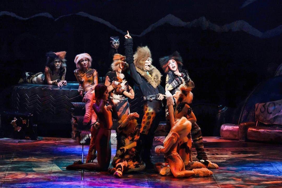 劇団四季のインスタグラム：「＼#この夏は名古屋でキャッツ／ 誇り高き猫たちの年に一度の舞踏会。 名古屋で観られる最後の夏。ジェリクルキャッツに会いに、さあ劇場へ！  #キャッツ日本上演40周年 #キャッツ #名古屋四季劇場 #劇団四季 #Cats #shikitheatrecompany」
