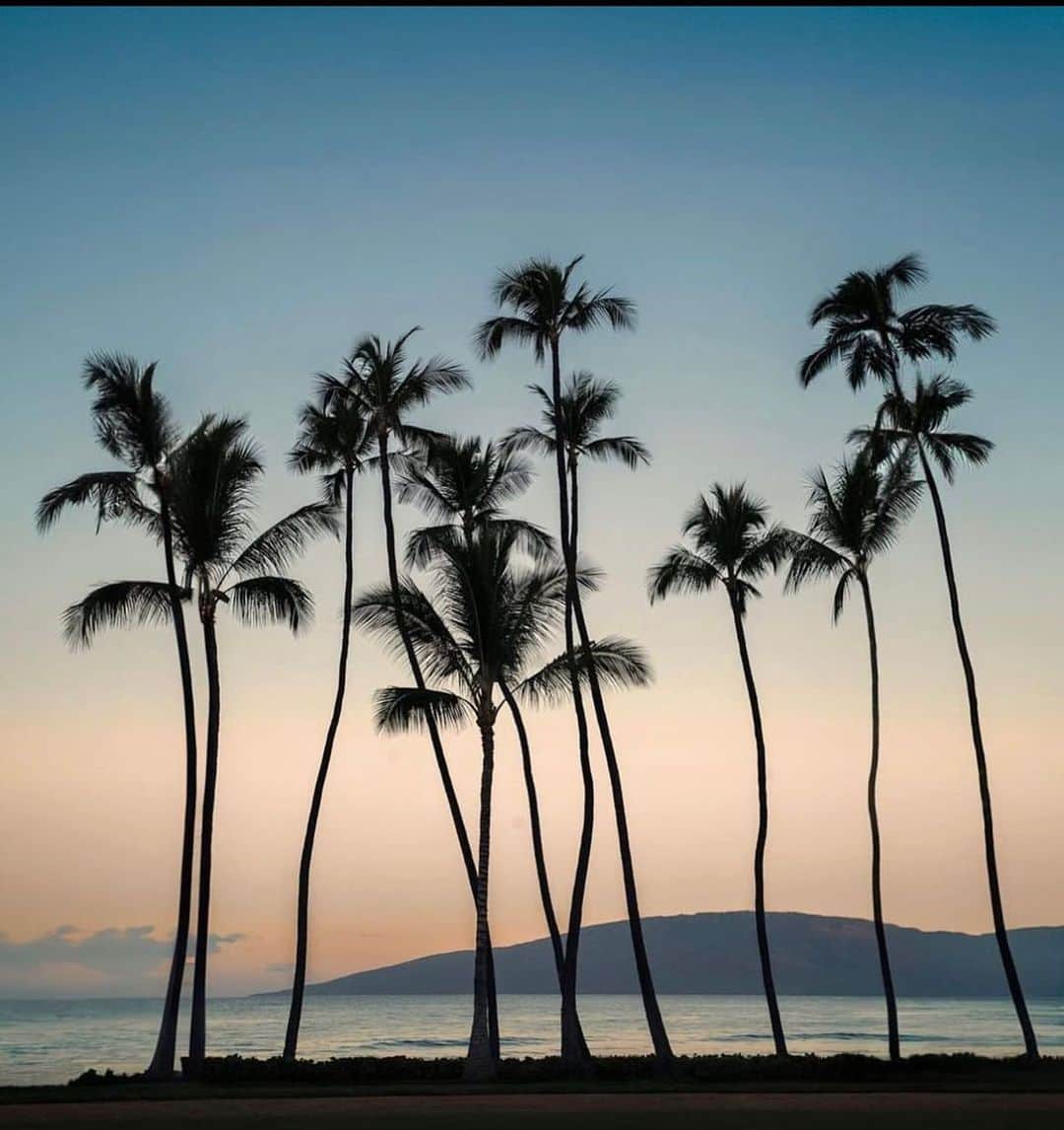 マシュー・モリソンのインスタグラム：「Hawaii has always held a special place in my heart. It’s where I performed as a young man. I proposed AND got married on Maui to a girl from these islands. And my heart is just heavy right now. I flew here yesterday and heard the devastating news upon my arrival. I’ve always felt so held here and now I just want to wrap my arms around this precious land. I want to do everything I can. For the most direct way to support, I will be donating to @hawaiicommunityfoundation #MAHALO #aloha #ohana #mana #hawaiistrong」