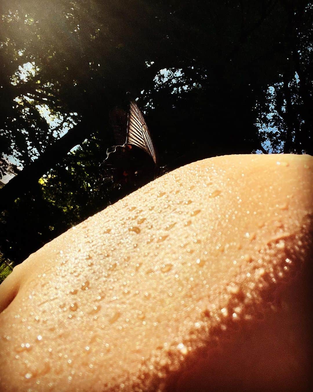 浅田信一のグルメインスタ