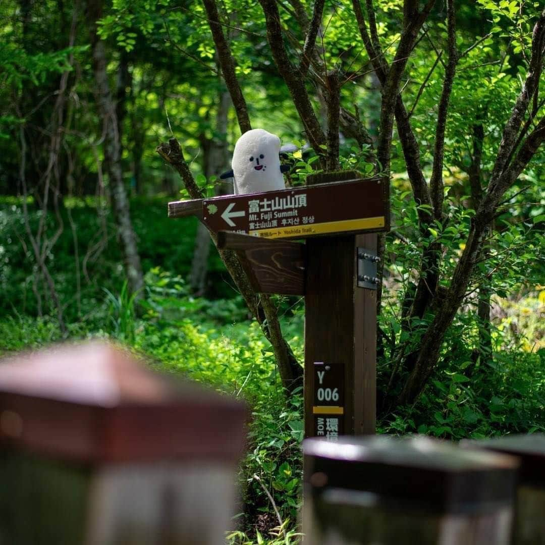 コメ助さんのインスタグラム写真 - (コメ助Instagram)「.  ついに！！ #富士山登頂 🗻✨  富士山は、2013年6月に #世界遺産 🌎に登録✨ 今年で10年を迎えたヨネ❣️  ぼくは、 #吉田ルート を使って時間をかけて ゆっくり登ったコメ👟💨  富士山の火口は、1周することができるコメ！ 大体1時間半くらいかかるみたいだヨネ⏳✨  #山小屋 では、 美味しい #コーヒー も飲んだコメ☕️🫧  みな産にも、 富士山の風景をプレゼントするヨネ☺️  一緒に登っている気持ちになれたらイ稲🥰 みな産の心が癒されますように(◍•ᴗ•◍)🌾  #山の日 #山 #世界遺産  #富士山 #fujisan #fuji #登山 #景色 #絶景 #japantravel #夏休み #旅行 #旅」8月11日 8時01分 - komenichiwa