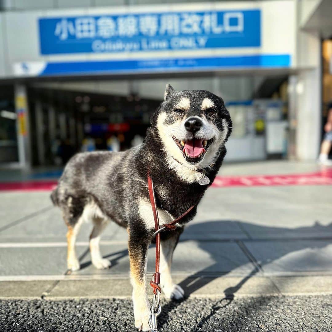 vo_coのグルメインスタ