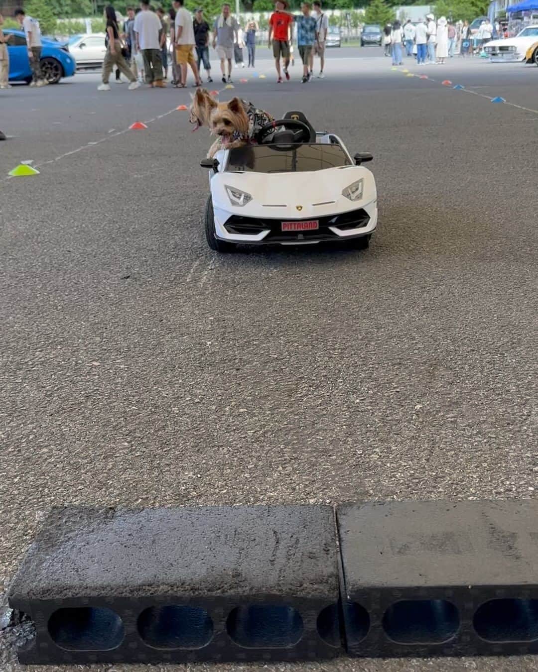 織戸学のインスタグラム：「前止め選手権  @lambo.supra」
