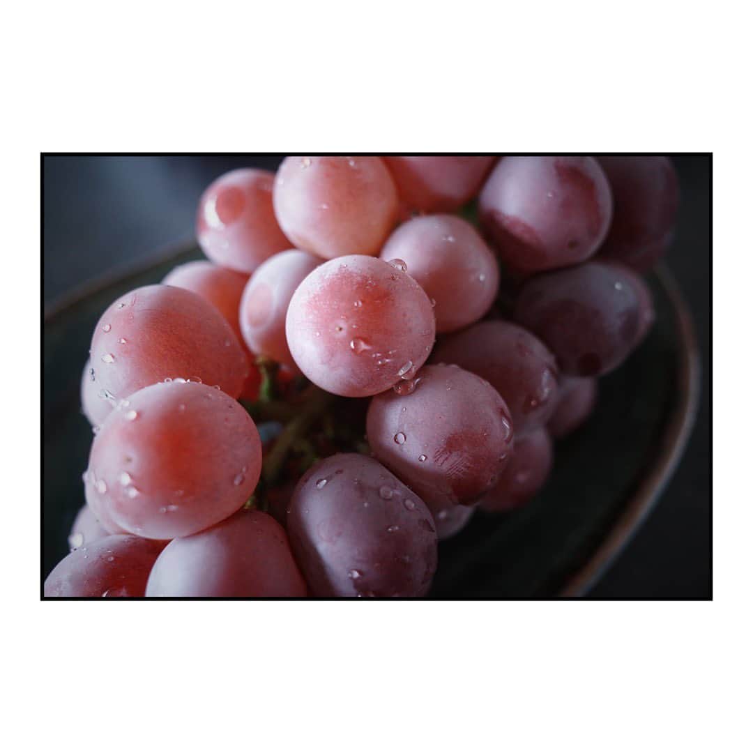 藤田敦子のインスタグラム：「ㅤ @nana6024 @callac.wci  からいただいた🍇。 美味しすぎてびっくり。  ななちゃんてっちゃん、ありがとう🙏」