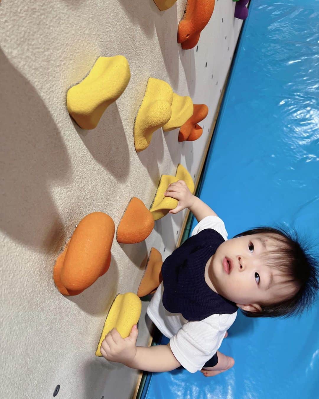 のインスタグラム：「* * 動きが激しめなんだよなぁ。  女の子と男の子ではこんなに違うのかと実感。 身体に合ってない動きするから焦る😵‍💫💦 * この遊び場歩いて行けるところに欲しいわ〜🐕💨 * *」