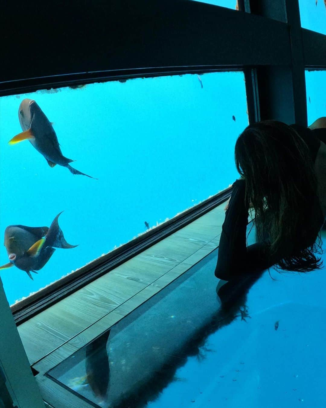 シャーニ・ヴィンソンさんのインスタグラム写真 - (シャーニ・ヴィンソンInstagram)「Living the underwater dream thanks to @cruisewhitsundays   #reefsleep #underwatersuite #mermaid #birthday #reefworld #greatbarrierreef #travel #explore #qld #whitsundays #oceanlife #underthesea #underwater #bedroom #bathroom #roomwithaview #dream #fantasy #reality #fish #lifebeginsat40」8月11日 11時10分 - sharnivinson