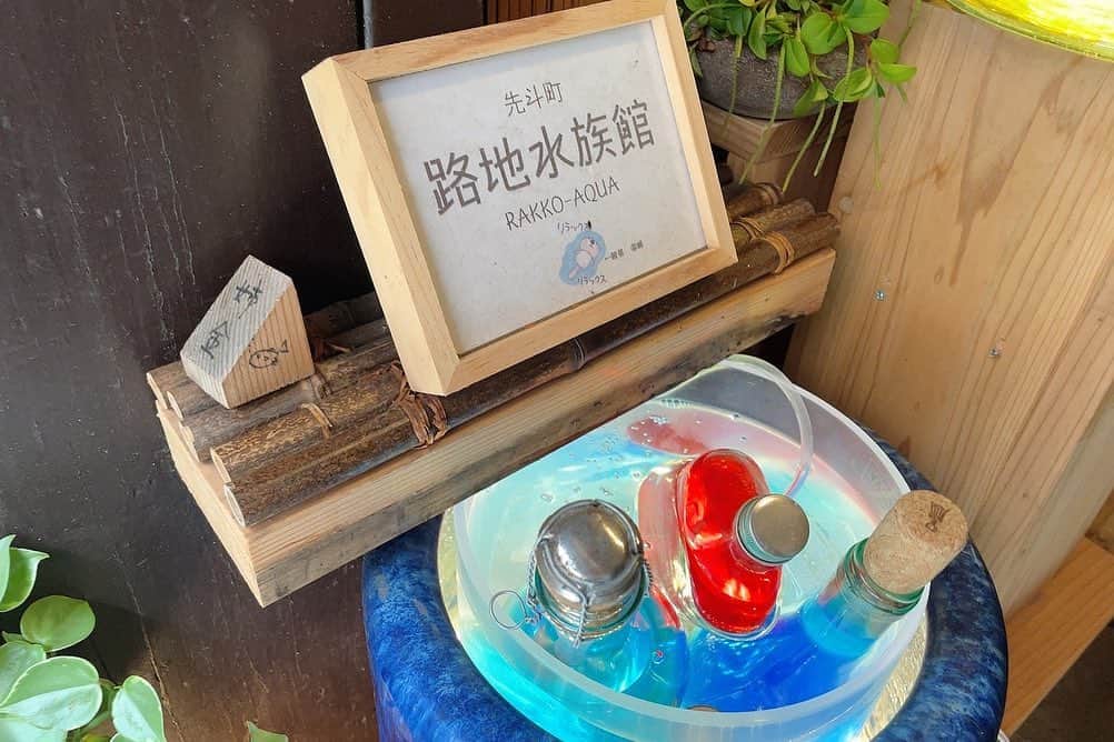 吉田綾乃クリスティーさんのインスタグラム写真 - (吉田綾乃クリスティーInstagram)「🍵🌱 京都の思い出🌱  しおりと葉月と予定を合わせて ずっと行きたかった京都に行ってのんびり過ごした日。  今度は泊まりでもっとのんびりしたいね🪽  美味しいのは全部食べたいから カロリー0理論発生しまくった。てか事実。」8月11日 11時25分 - y.ayanochristie.official