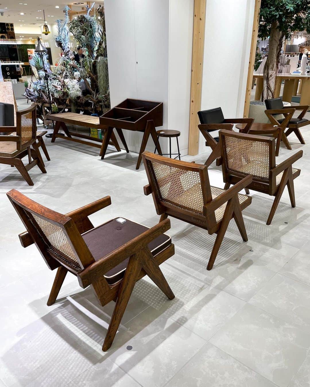 HANKYU.MODEさんのインスタグラム写真 - (HANKYU.MODEInstagram)「. PIERRE JEANNERET LIMITED SHOP ~家具とアートを隔てなく~ Until 8/20 At 8F Cotocotostage81 @hankyu_greenage  「Gallery Attic（ギャラリーアティック）」から、1951年 インド パンジャブ州 チャンディーガルの都市計画の際に、LE CORBUSIER（ル コルビュジエ）とPIERRE JEANNERET(ピエール ジャンヌレ)がデザインしたオリジナル家具を期間限定でご紹介。  今回のイベントでは、バラエティー豊かにPIERRE JEANNERET作品を展示販売。 ひとつひとつが丁寧に手作業で作られ、それぞれ表情や座り心地なども異なるビンテージならではの個性をお楽しみください。  詳しくはプロフィールURLをチェック！@hankyumode  ※1点物のため、掲載アイテムが売却済みの場合はご了承くださいませ。  #PIERREJEANNERET #ピエールジャンヌレ #LECORBUSIER #ルコルビュジエ #greenage #グリーンエイジ #hankyumode #hankyu #阪急百貨店 #阪急本店 #うめはん #ヴィンテージ家具 #ヴィンテージインテリア」8月12日 12時00分 - hankyumode