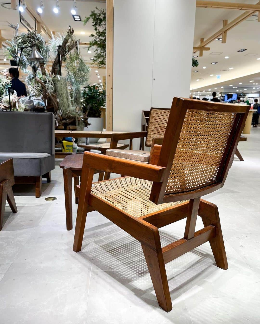 HANKYU.MODEさんのインスタグラム写真 - (HANKYU.MODEInstagram)「. PIERRE JEANNERET LIMITED SHOP ~家具とアートを隔てなく~ Until 8/20 At 8F Cotocotostage81 @hankyu_greenage  「Gallery Attic（ギャラリーアティック）」から、1951年 インド パンジャブ州 チャンディーガルの都市計画の際に、LE CORBUSIER（ル コルビュジエ）とPIERRE JEANNERET(ピエール ジャンヌレ)がデザインしたオリジナル家具を期間限定でご紹介。  今回のイベントでは、バラエティー豊かにPIERRE JEANNERET作品を展示販売。 ひとつひとつが丁寧に手作業で作られ、それぞれ表情や座り心地なども異なるビンテージならではの個性をお楽しみください。  詳しくはプロフィールURLをチェック！@hankyumode  ※1点物のため、掲載アイテムが売却済みの場合はご了承くださいませ。  #PIERREJEANNERET #ピエールジャンヌレ #LECORBUSIER #ルコルビュジエ #greenage #グリーンエイジ #hankyumode #hankyu #阪急百貨店 #阪急本店 #うめはん #ヴィンテージ家具 #ヴィンテージインテリア」8月12日 12時00分 - hankyumode