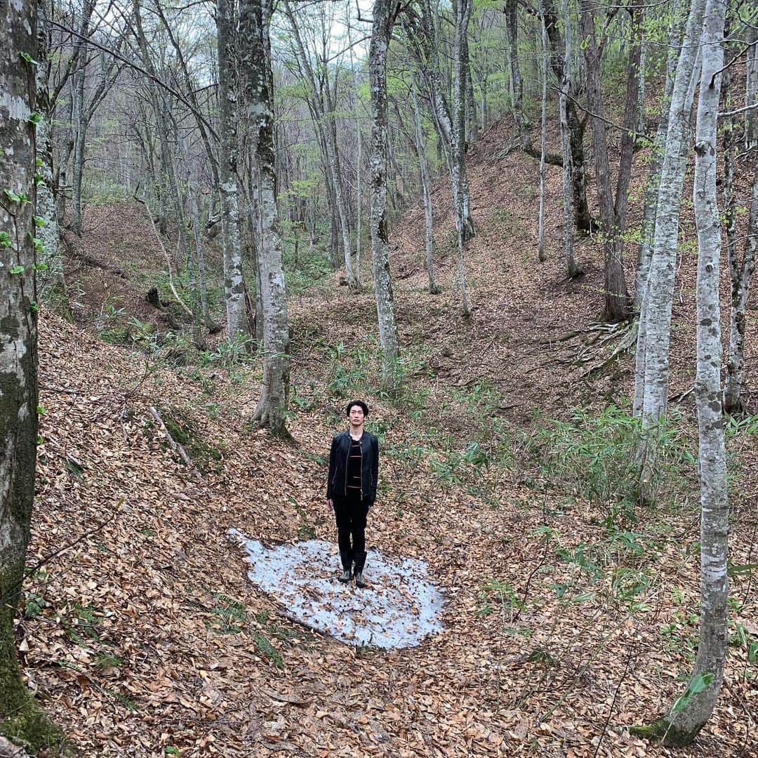 南圭介さんのインスタグラム写真 - (南圭介Instagram)「今日は山の日。  以前白神山地で  ワープしそうな はたまた HPが回復しそうなポイントに出会いました。  I might recover or warp at this spot.  #山の日 #白神山地 #世界遺産 #世界自然遺産  #白神山地魅力発信アンバサダー #shirakamisanchi #worldheritage  #野生の南」8月11日 12時46分 - keisuke_minami73