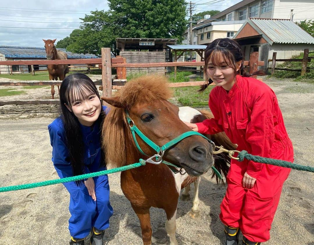 秋吉優花さんのインスタグラム写真 - (秋吉優花Instagram)「🐶🐴🍈 . イッヌ...ポニー...モフモフ...  . 福岡県庁の「#hkt48の福岡撮影中 」で、 #八女農業高校 さんにお邪魔しました！ 温かく迎えて下さり本当にありがとうございました！  先生も生徒の皆さんも とても優しくて素敵な高校でした。  羽麗ちゃんと勉強してきた！！ 高校って素敵よね。青春🥹🌸 メロン美味しすぎて みんなで買って帰った🍈 . こたろう可愛かったなあ🐶🐾 撮影スタッフさんとも久しぶりに会えたの！ 嬉しかったです✨  ポニーさん優しかった。 ブラッシングしたよ🥰  . #hkt48 #松本羽麗 #秋吉優花 #秋田犬 #八女市 #🍈 #モフモフ」8月11日 12時56分 - akiyoshi_1024