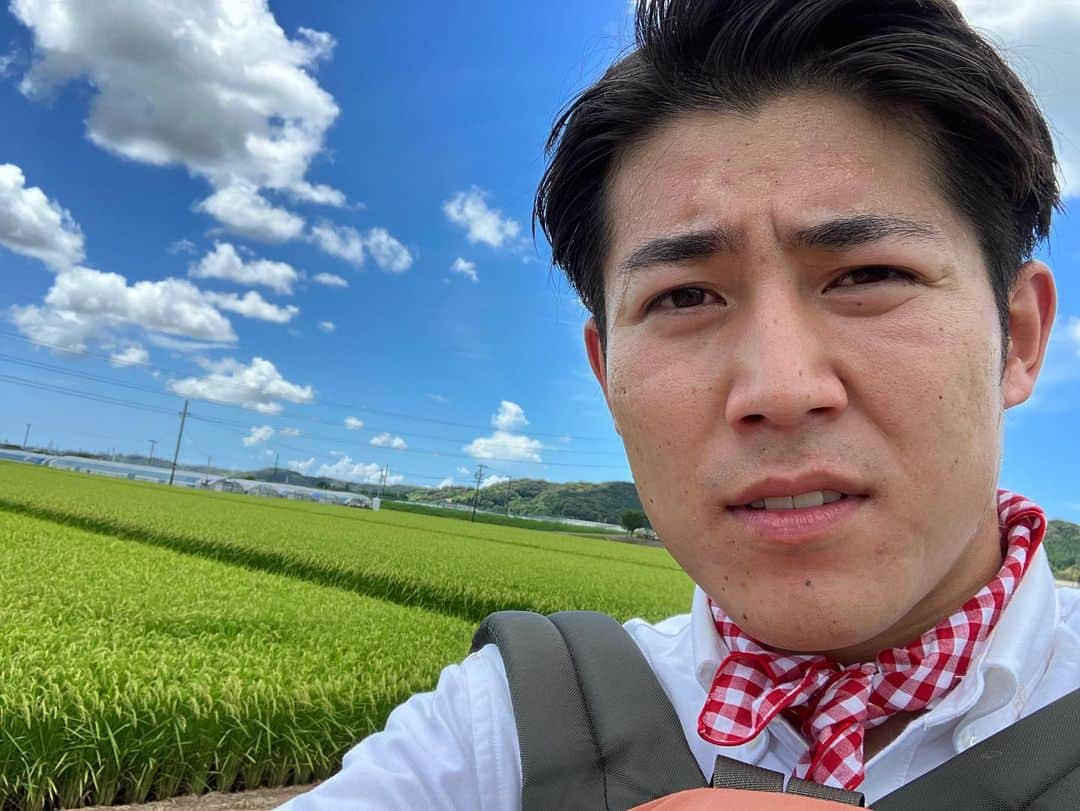 須藤誠人のインスタグラム：「きょうも体にこたえる厳しい暑さですね🥵 みなさま十分にお気をつけください！ さて、今回の #がんばってますっ‼︎ は #袋井市 友永(ともなが)という場所を訪ねてきました😆  真夏の田んぼで草取りのお手伝いをしたり、とても微笑ましいおじいちゃんとお孫さんと出会いキンキンに冷えたお茶を飲ませてもらったり🍵 さらには袋井市で作られるあのフルーツの王様 #クラウンメロン 農家さんにも出会いました🍈 今週も夕方4:40〜の #とびっきり でよろしくお願いしますっ！！！  #真夏 #静岡 #果物 #お米 #お茶 #静岡朝日テレビ」