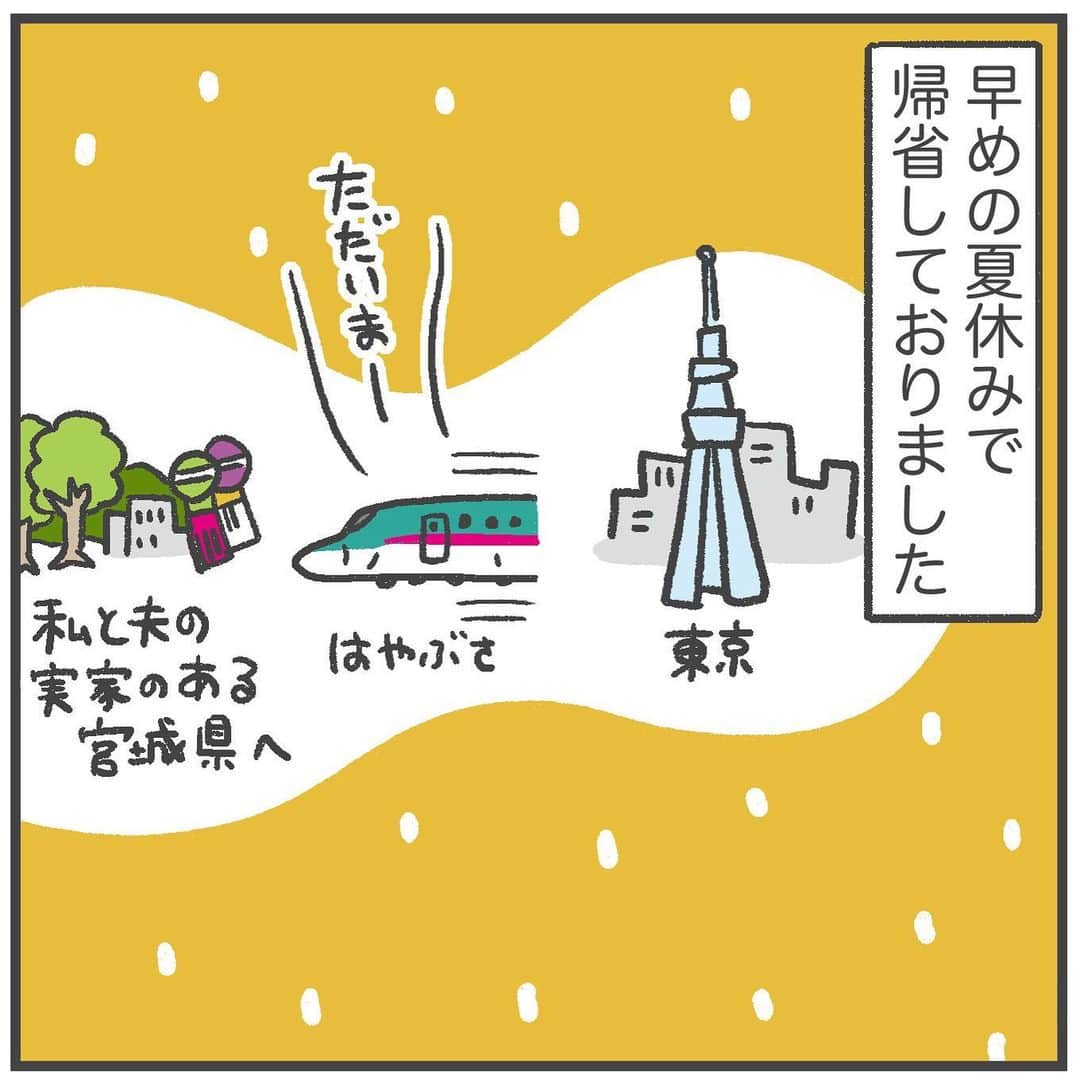 あきばさやかのインスタグラム：「夏休み大満喫！🍧 ⁡ 私と夫はどちらも宮城出身なので、帰省すると両実家をはしごして過ごします。 今回はちょうどお祭り期間で、花火や仙台七夕を見ることができてラッキー！😌✨ ⁡ 両親にとっては見慣れた風景も、東京育ちの子どもたちにとっては超エンタメスポットのようです…よかったねぇぇ⛰️🌾🐛 ⁡ ⁡ #ホヤぼーやかわいい  #育児漫画 #5歳 #1歳 #育児マンガ #子育て絵日記 #育児絵日記 #絵日記 #育児記録 #イラストエッセイ #育児日記 #ライブドア公式ブロガー」