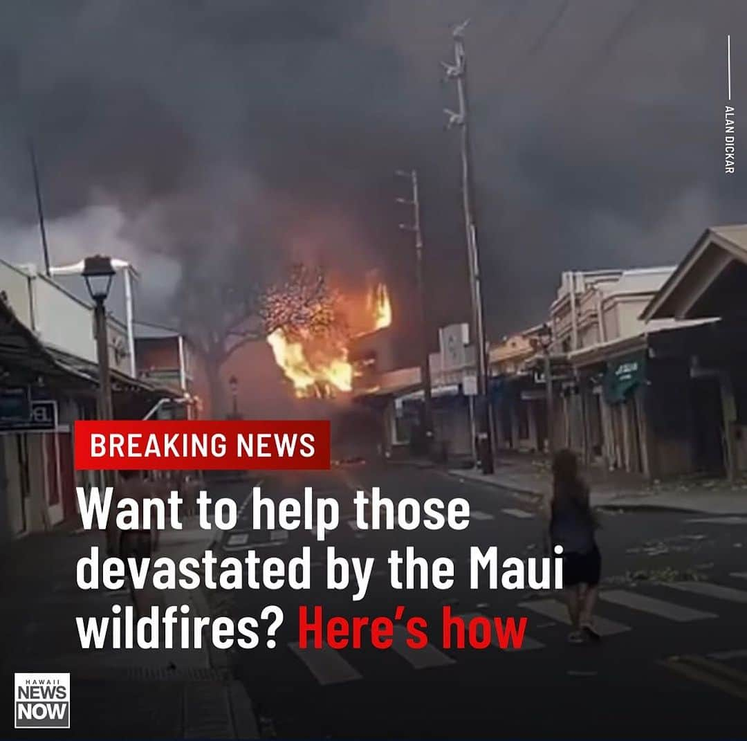 ダニエル・デイ・キムのインスタグラム：「At the time of this writing 53 dead, thousands evacuated, 1700 structures destroyed, 11,000 without power, untold damage to the ecosystem… I’ve been posting stories for those who’d like to help, but perhaps the best way to find legitimate resources is our local news. @hawaiinewsnow has a guide that I’ve linked to in my bio. If you’re able to help this is a good place to start. #prayformaui」