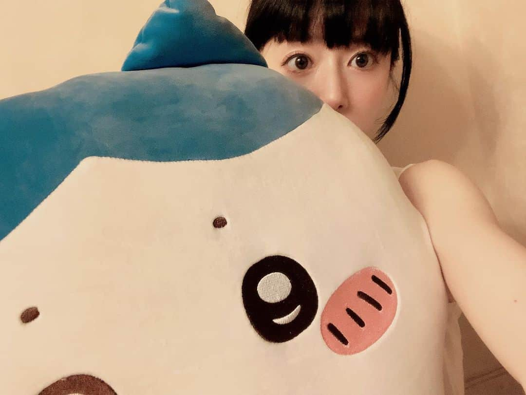 工藤晴香さんのインスタグラム写真 - (工藤晴香Instagram)「Big sizeハチワレ フレームに入りきらない🐈‍⬛  #ちい活」8月11日 14時51分 - kudo_a.k.a_910