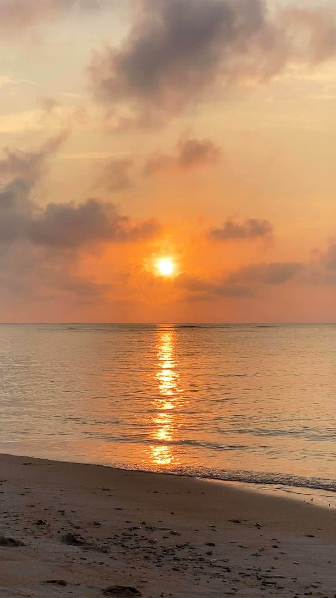 酒井美帆のインスタグラム：「🏝️夏の思い出🐚@波照間島  一人旅は、人との出会いに心温まる🙏✨  波照間の皆さん、優しかったな〜☺️✨ 初めて会うのに、前からずっと知ってたみたいな感覚。  これもまた、 ご縁だな〜としみじみ🌅✨」