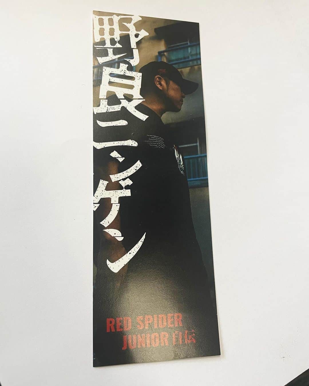 Juniorのインスタグラム：「中卒のしおり  #野良ニンゲン」