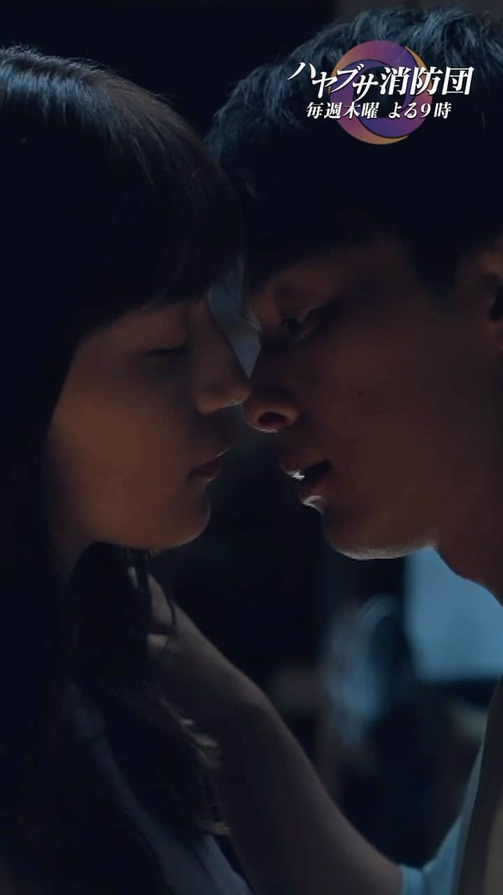 ブラジル最大のハヤブサは何ですか?