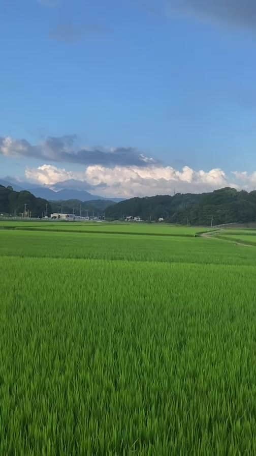 のインスタグラム