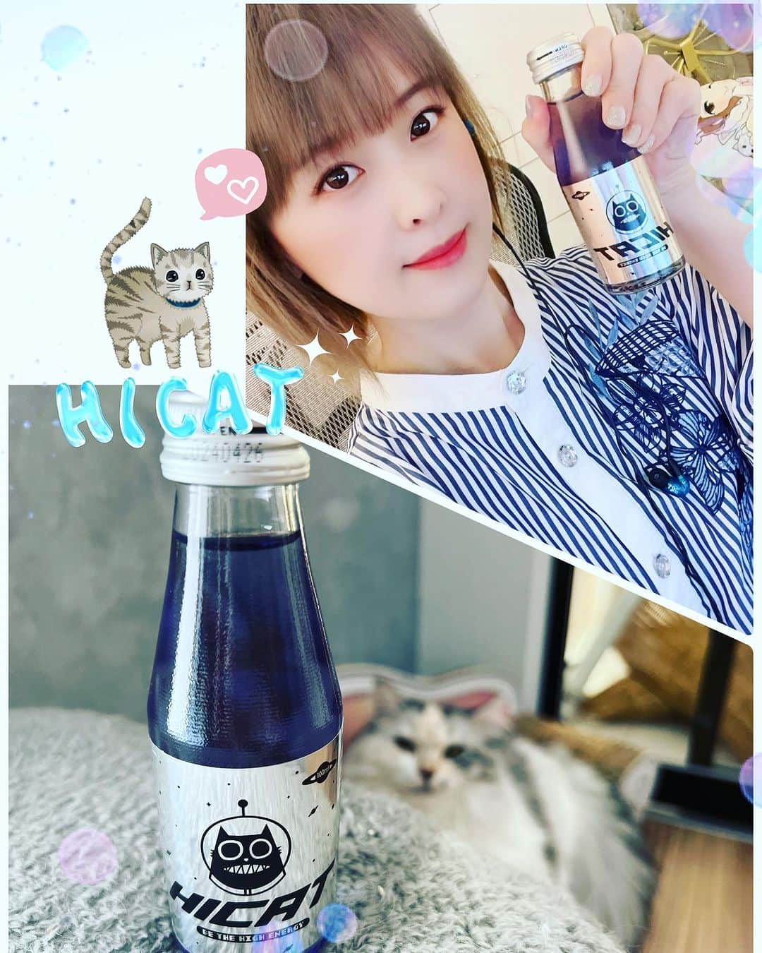 桜咲千依のインスタグラム：「HICAT様よりご提供頂きました😊✨  色も可愛いし、味も美味しいし、にゃんこのロゴもめちゃくちゃ可愛い....🐈‍⬛ 長時間ゲームすることが多いので、これからも愛飲させていただきます😋♥️  マタタビ配合エナドリ...マタタビ摂取... またこれで来世猫になれる確率があがってしまったのね…(*ΦωΦ)ﾌﾌﾌ…  気になった方はぜひぜひこちらチェックしてみてね🐈🐾  https://www.amazon.co.jp/dp/B0C2C15G3W  #HICAT  #マタタビエナドリ #pr」