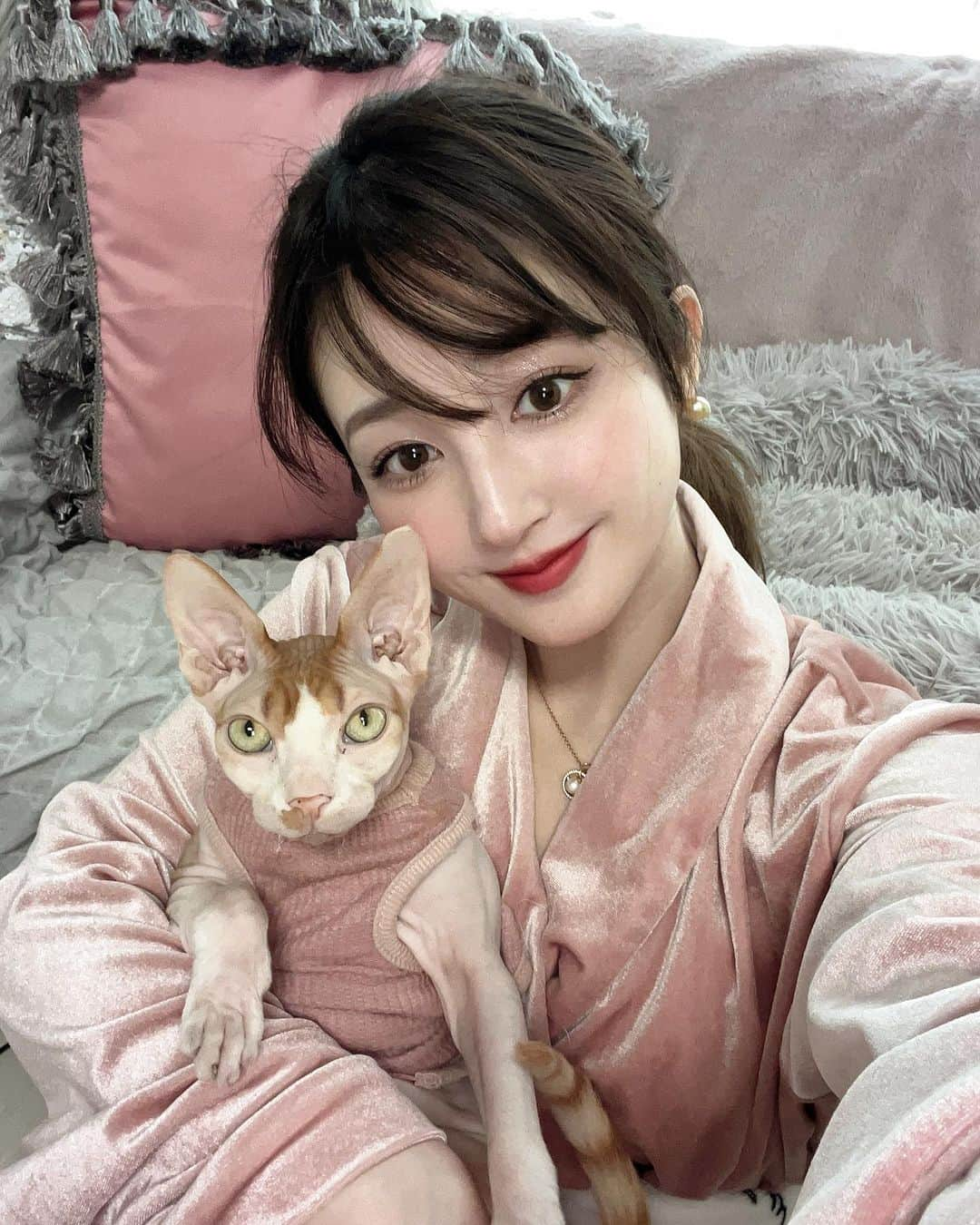 新希咲乃さんのインスタグラム写真 - (新希咲乃Instagram)「久しぶりにケムケムと写真撮れた🐈𓂃🎀𓈒𓏸私はスフィンクスの猫ちゃんと3人暮らししてるよ！  @sphynx_bonkems   それと @the_roppongi_clinic で気になってたシミ治療に行きました。店内も綺麗だし、とにかく丁寧！ 動線とかもしっかりしていて誰にも会わないようになってるみたい。治療してくれた方が応援して下さってる方でそこも信頼度高かった🫶🏻  ずっと気になってた頬のところにADMか肝斑か分からないシミがあってこれから長くかかりそうだけど、飲み薬、塗り薬、レーザー治療で治して行きたいとおもいます！！ 私はすぐ赤くなるから3日間くらい赤みが残ったけど、 4日後からは肌ツヤ凄く良くなったよ🤍゛ (最後の写真は当日) それに治療終わったあとのスキンケアや導入とかまで やってくれて安心でした🍋 @dr.sayakanagao 先生どうもありがとうございました…♡♡ これから治療頑張りまーすっ！！！   #theroppongiclinic   #レーザー治療  #新希咲乃  #スフィンクス猫   #猫」8月11日 18時44分 - niki_sakino