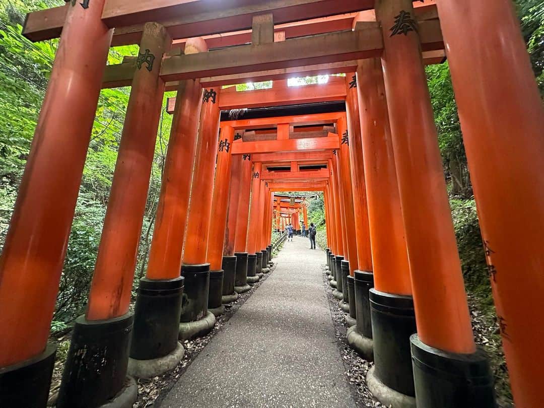 Atsukoのインスタグラム：「・ 伏見稲荷大社へ参拝に ・ ・ 今回は三つ辻まで。帰り道の荒木神社近くで、保護猫さんと戯れる。次回こそは山頂までいけるかなあ。 ・ ・ #kyoto #京都 #伏見稲荷大社」