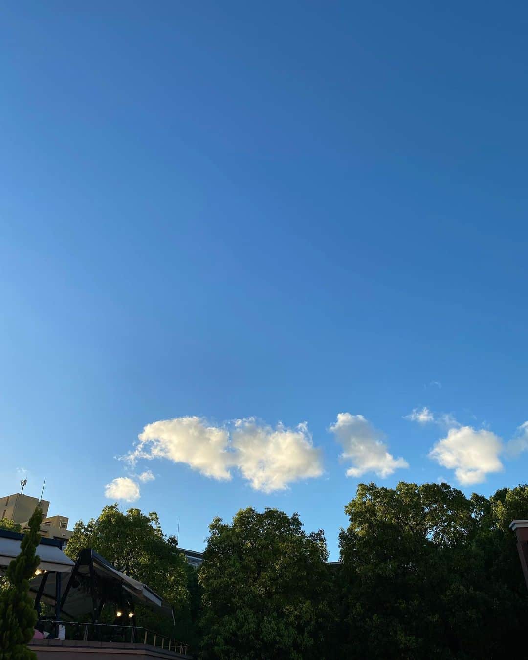 のインスタグラム：「周り中がばたばたと倒れている今日この頃ですが、  私は元気です。  ありがたいことです。  でも、油断しないよう気をつけます。  それにしても、ウイルスの日進月歩ぶりにはつくづく驚かされます。  企業努力とでもいうんでしょうか。  私も見習わねばなりません。  世間はお盆に入りましたね。  さっき、お迎えのためのいろいろを買ってきました。  この時期はなぜか毎年どんよりします。  どうしてだろう、と思っていたら、あるとき視える方から言われました。  「地獄の釜のフタがあいてるんだから仕方ないよ、それは当然の反応だよ」  ああそうか、じゃ仕方ないな、とホッとしたのを覚えてます。  皆さまもどうか、くれぐれも身体にはお気をつけください。」