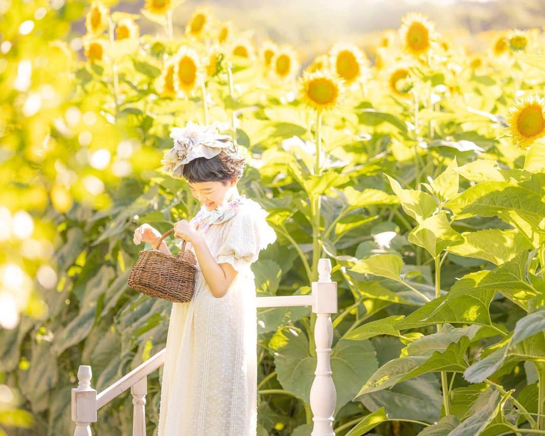 保坂さほさんのインスタグラム写真 - (保坂さほInstagram)「#そとさほ ロケの個人撮影♡ 実は空いた時間にちょこちょこ受けてます♪  先週ロケハンした向日葵畑が全て枯れていて呆然、、😱 気を取り直して同じエリアの唯一満開だった向日葵畑で撮影してきました🌻  背が高い向日葵だったので、旦那さん手作りの階段を持ち込んで撮影♡ちょうど良い高さで夕焼けの光と満開の向日葵で大満足な写真が撮れました❤️  そのあとすぐ近くの海でもサンセット撮影したよ♡  人がいなくてセットが置ける向日葵畑を探し、特別に許可取りしてくださった千葉県のフォトスタジオ  @photostudio_mou_masaki @photostudio_mou_takuro さん、今回も本当にありがとうございました♡  こちらのフォトスタジオは今年5月に保坂さほプロデュースさせて頂き、現在リニューアルしたスタジオで個人撮影を受けています♡ ぜひチェックされてください💕  ♡  ♡  ♡  #保坂さほ#ロケ#ロケーションフォト #ロケーション撮影 #キッズ撮影会#キッズ撮影#ベビー撮影会#ベビー撮影#ファミリーフォト#ファミリーフォト撮影 #東京ママ#東京キッズ#関東ママ#関東キッズ#ママフォトグラファー#ママカメラ#ママカメラマン#ママカメラ部 #東京フォトスタジオ#東京写真館#フォトスタジオ#写真館#ロケーション撮影会 #ロケ撮影会#埼玉ママ#ロケ撮影 #ロケハン#ロケーション撮影 #ひまわり撮影#向日葵撮影」8月11日 19時57分 - saho_hosaka