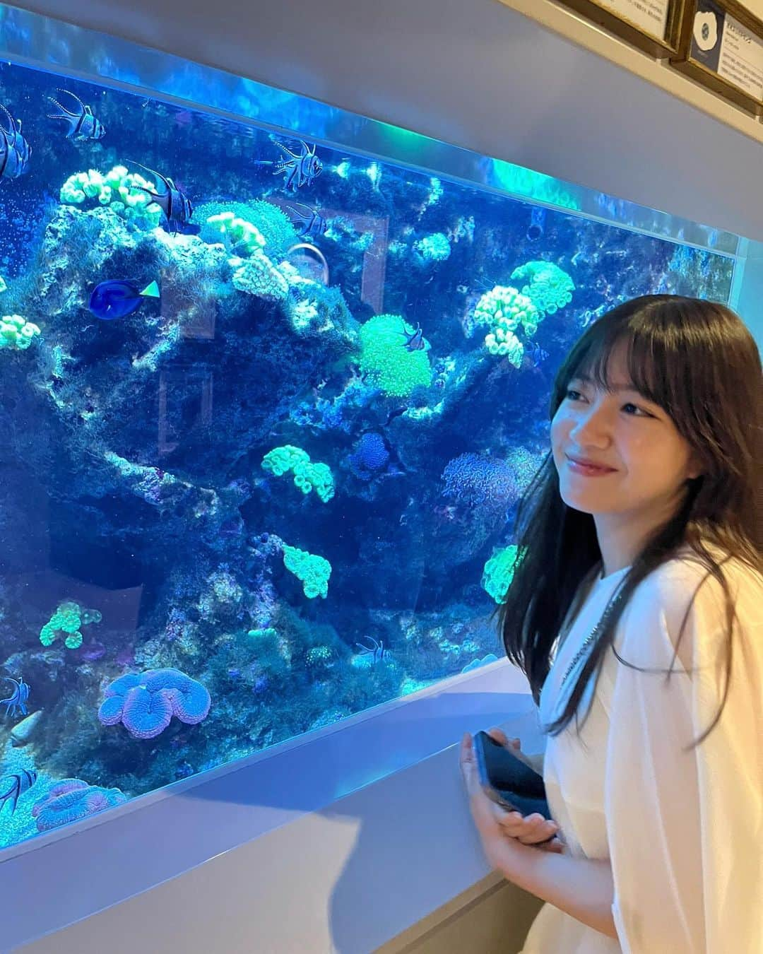 中嶋桃花のインスタグラム：「初atoa🐠  ドリーとツーショット撮ってもらった♡   今度水族館に行くときはイルカショー見たいな🐬」