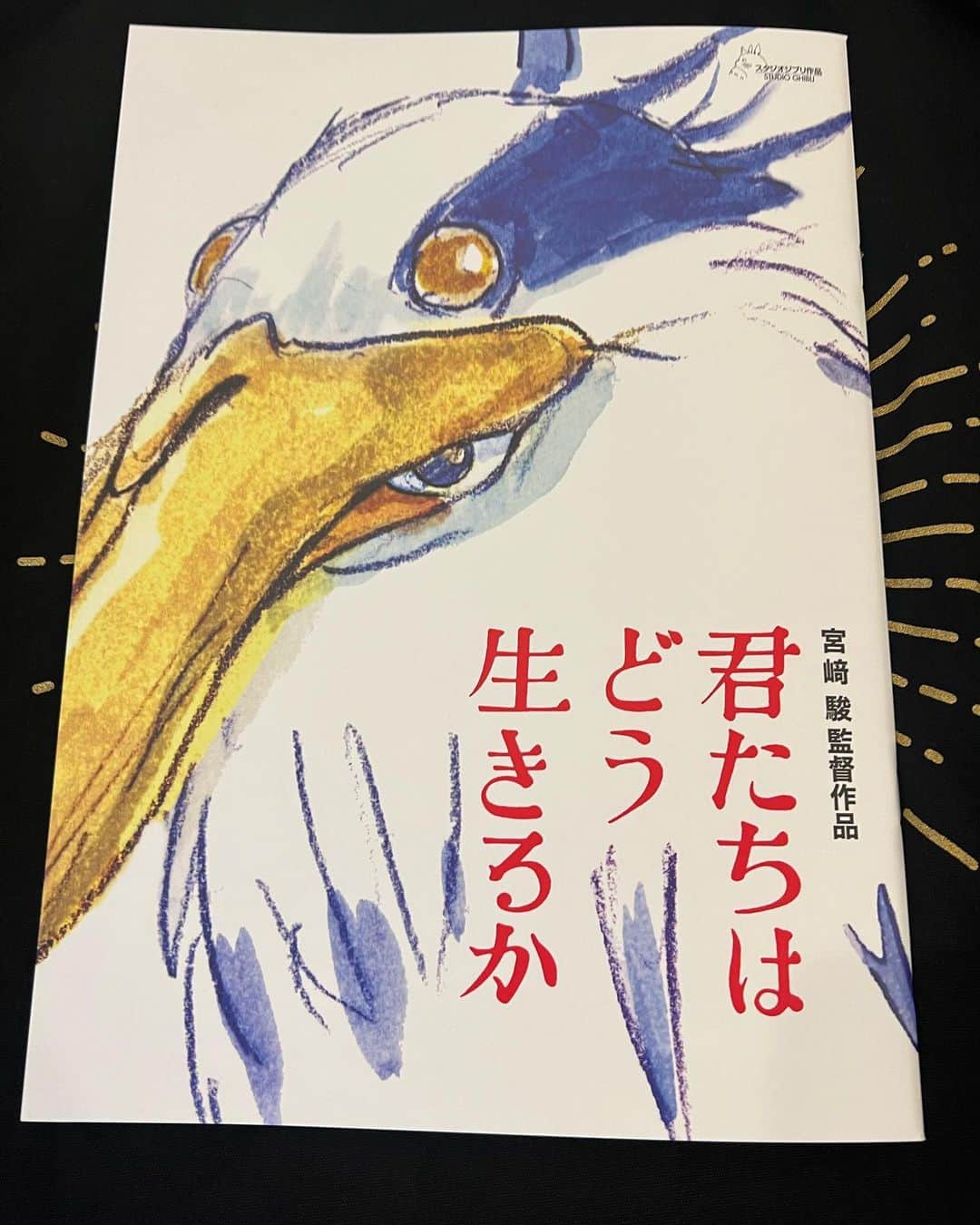 のインスタグラム：「今日発売だから早起きして購入したよ(^^) 中身は購入してから！ #君たちはどう生きるか #ジブリ#パンフレット #本日発売#820円#スタジオジブリ」