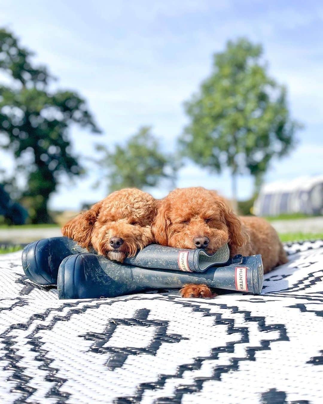 ハンターブーツのインスタグラム：「Some #HunterBoot cuteness for your feed this Friday.」