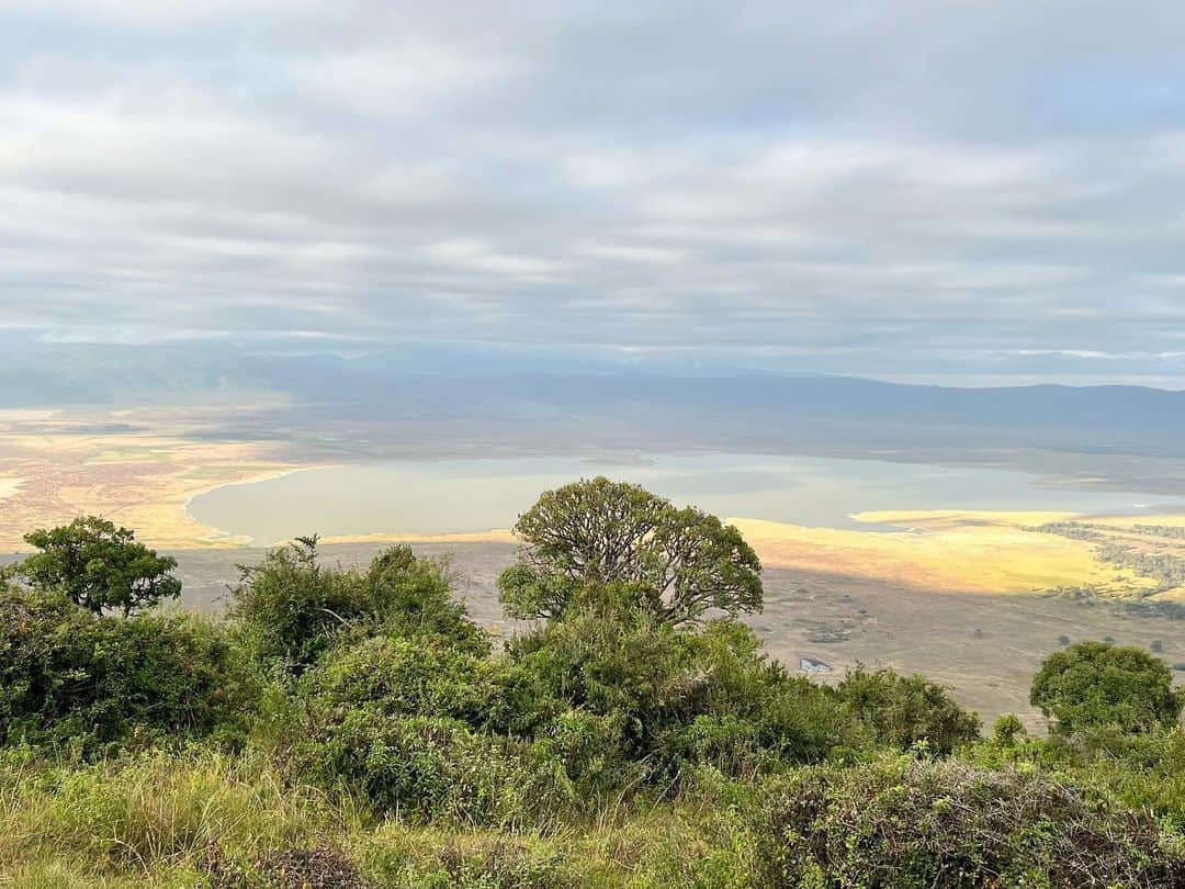 榎戸教子さんのインスタグラム写真 - (榎戸教子Instagram)「ンゴロンゴロ保全地域。 タンザニアの世界遺産です。  ンゴロンゴロで泊まったロッジ @serenahotelstz からは 世界最大級のクレーターを望めました。  ンゴロンゴロとは、 スワヒリ語で「巨大な穴」。  巨大なクレーターは、 標高2,400メートルの高さからすり鉢状。 乾季がないため自然に恵まれ、 豊富な水や食べ物を求めて多くの動物が生息しています。 クレーターに柵はありませんが、 この地で一生を終える動物がほとんどだそうです。  朝の霧もすごかった！  #ngorongoro #tanzania #safali #worldheritage #worldtraveler #trip」8月11日 21時46分 - noriko_enokido