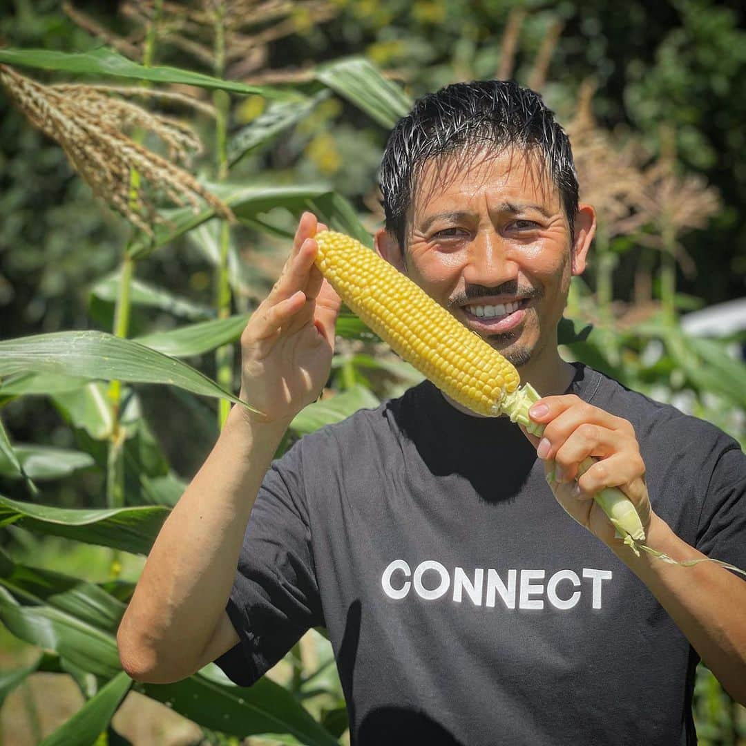 百瀬俊介さんのインスタグラム写真 - (百瀬俊介Instagram)「CONNECT FARM 2023  今年もこの季節がやってきました🌽  シャインマスカットやメロンのような糖度18度を超える極甘とうもろこしにこの度「金太郎」と名付けました！  一粒一粒が黄金色に輝き果汁のような水々しさととうもろこしの実の皮の薄さが特徴的でとにかく甘いとうもろこしを長野県で育てています！  届いたその日はその甘さを感じてほしくぜひ皮を剥いて生で食べていただきたい！  今まで出会ったことのない衝撃が走るはずです。  野菜は鮮度が命！  野菜は果物と違い採れたてが最高に美味い状態です。  お届けするとうもろこし「金太郎」は早朝4:00から収穫を行い1本1本丁寧にフィルム袋に詰めて箱に詰めてその日のうちに配送の手配をしてお手元にお届けしています。  通販サイトではお陰様で予約購入が昨日完売となりましたが収穫数の方も更に増やして通販用の在庫数を補填することができそうなので予約販売の枠をさらに増やして継続して購入が可能です。  一年に一度の季節ものですが年々コネクトファームの認知も広まってきています。  都内、ミシュランのレストランから日本橋高島屋さんではフルーツショップオザキさんのお力添えの下、初の試みで朝採れ市を開催し見事に完売。  ご友人の贈り物やお中元に採用してくださる企業も増えてすでに来年の収穫数の検討もはじめているくらい有り難くたくさんの方々に食べていただいています。  本当に感謝です！  何事も食べてみないと分からないだけに食べていただいた衝撃のリアクションは我々にとっての喜びです！  子どもからお年寄りまで老若男女問わず楽しんでいただける極甘とうもろこし「金太郎」をぜひまだ食べたことないという方、試してみたいという方は気軽にお声がけください！  これからの農業の在り方、丹精込めて作った野菜の価値も上げていきたいと考えています。  たかがとうもろこし、されどとうもろこしですが何より笑顔になる化学反応をお届けします！  #コネクトファーム #極甘とうもろこし #金太郎 #野菜の価値を上げよう #connectfarm #長野県上田市」8月11日 22時01分 - momose_shunsuke