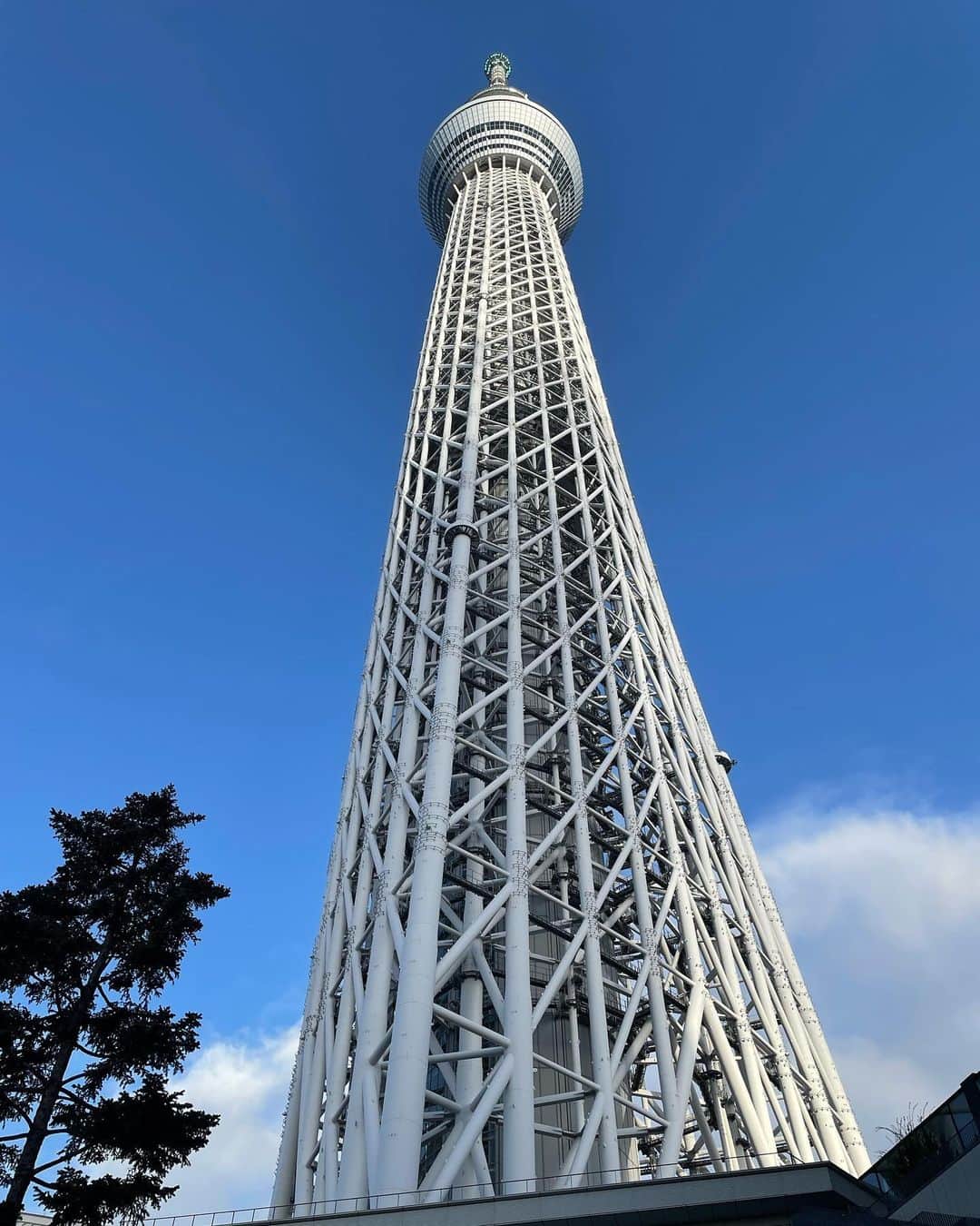 荒木絵里香のインスタグラム：「RISING TOGETHER 〜TEAM JAPAN 活躍祈願〜  小学生たちと一緒にスカイツリーに階段で登りました！ 450m、2552段登りきりました！  みんなで励まし合って登りきったあとの展望台からの眺め、達成感、充実感は最高でした✨  #TEAMJAPAN #RISINGTOGETHER #東京スカイツリー #tokyoskytree」