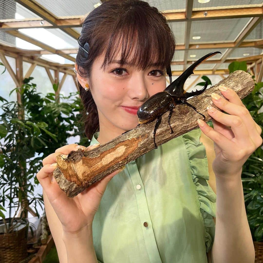 フジテレビ「めざましテレビ」さんのインスタグラム写真 - (フジテレビ「めざましテレビ」Instagram)「ファッション雑誌CanCamとコラボした お天気コーナー「きょう何着て行く？」 谷尻萌の毎日のコーデを紹介♪  8月11日（金）  【今日のコーデ】 ・ブラウス→ @la_boutique_bonbon_official １万4960円 ・スカート→ @olu.myself 8800円 ・靴→ @dianashoespress １万7050円  ・イヤリング→ @anemone_official 1870円  【コーデのポイント】 大人っぽいブラウンのティアードスカート🍫グリーンのフリルブラウス＆パンプスで〝チョコミント配色〟💚🤎にまとめると、ビターなかわいさが漂います♪ 着映えしつつトレンド感も叶います！    #めざましテレビ #きょう何着て行く？ #谷尻萌 #今日のコーデ #コーデ #CanCam #今日のファッション#ootd #きょう何着て行く？は月〜金朝6時22分ごろ放送📺 #もえちゃん #きれいめコーデ #きれいめカジュアル #大人コーデ #夏コーデ #オフィスカジュアル #上品コーデ #アナウンサー衣装」8月11日 22時08分 - mezamashi.tv