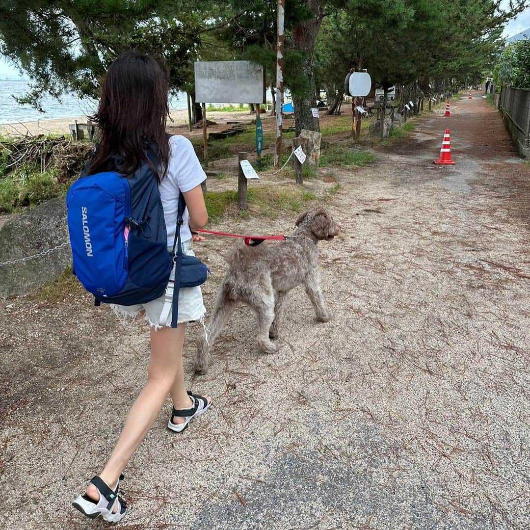 薮下柊さんのインスタグラム写真 - (薮下柊Instagram)「琵琶湖で水遊びしました😊  楽しそうで何よりです😋  #labradoodle #doodlelife #doodlelove #labradoodlelove #doodle #puppy #puppies #puppydays #puppylove #dogs #dogphotography #puppyphotography #doodlesoftheworld #doglover #犬　#子犬　#ラブラドゥードル　#愛犬　#いぬすたぐらむ　#犬がいる生活　#いぬのきもち　#ふわもこ部　#大型犬　#大型犬のいる生活」8月11日 22時42分 - __yabushita_shu__