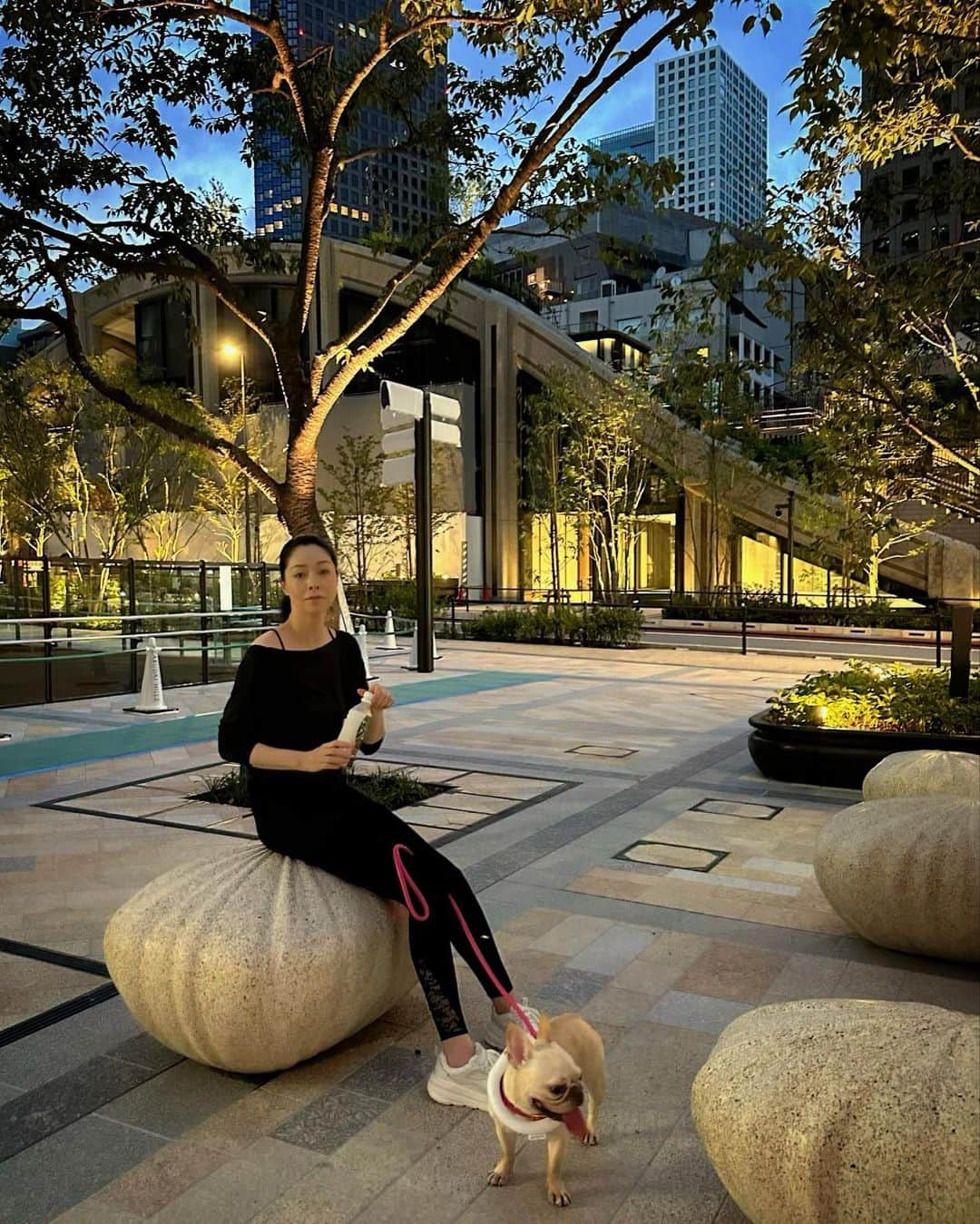 川原亜矢子のインスタグラム：「夕暮れ散歩 #tokyo #frenchbulldog #sunset #散歩 #フレンチブルドッグ #フレブル」