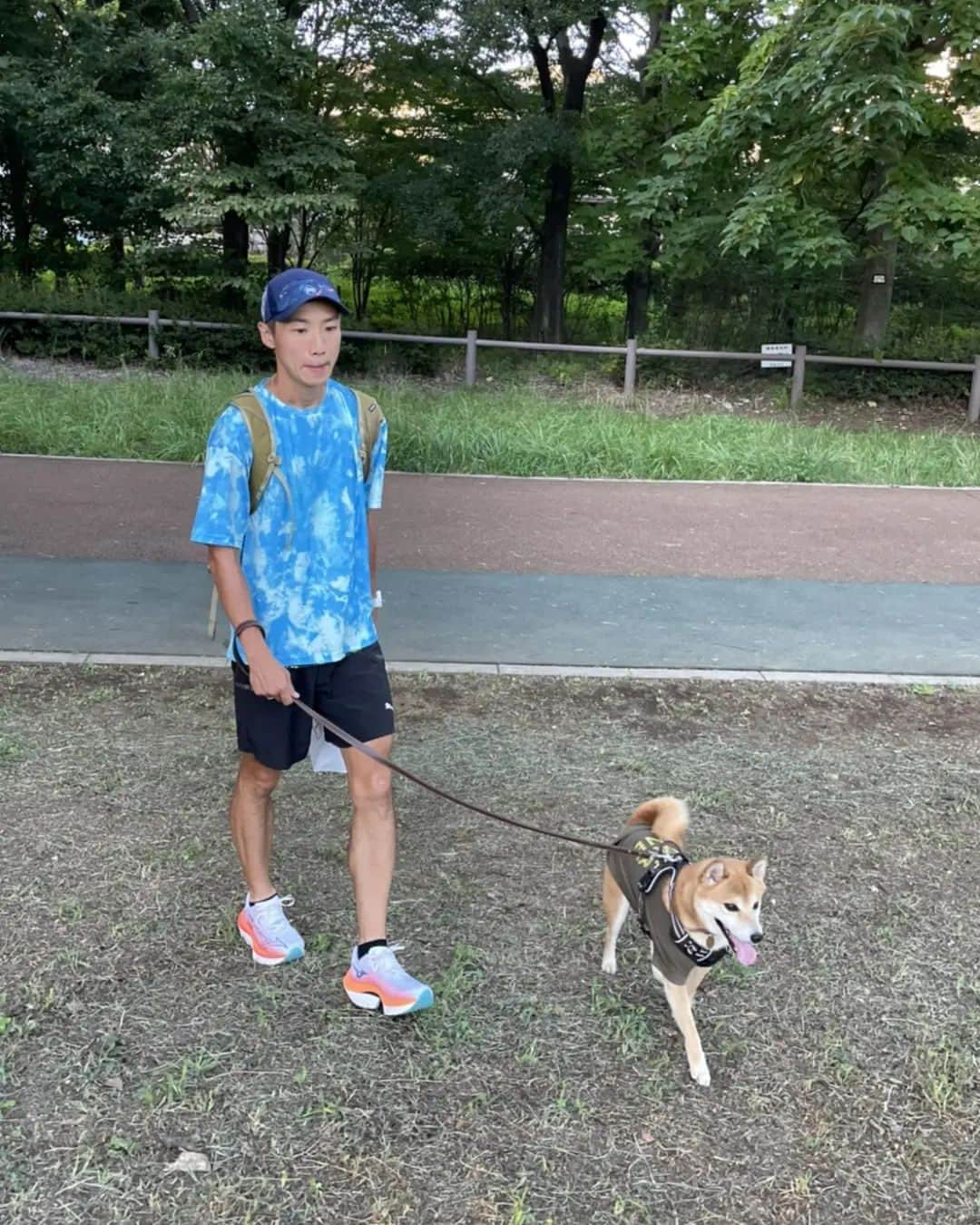 宇野けんたろうのインスタグラム：「朝練習.Run10km+100m×3本！！  やっとダッシュが出来るように  なってきた。。。  本当に無理はしちゃダメなんだな。  #イトイエックス  #Buff #東京マラソン #マラソン #ランニング #ランニングすきな人と繋がりたい #柴犬」