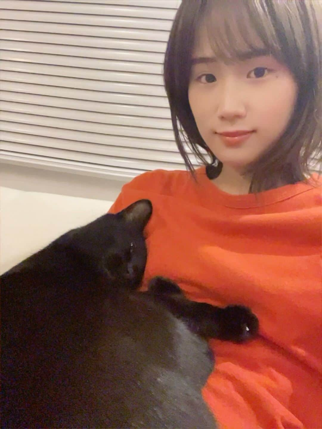 秋山ゆずきのインスタグラム：「. . 我が家の甘えんぼ🐈‍⬛💓  #きき #黒猫 #くくきき成長記録  #猫 #猫好き #猫のいる暮らし  #猫好きさんと繋がりたい  #元保護猫 #保護猫 #保護猫と暮らす  #保護猫出身  #保護猫を家族に」