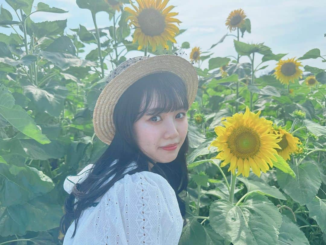 吉川ひよりのインスタグラム：「⁡ ⁡ ✿✿✿✿✿✿ ⁡ 🌻𝗠𝘆 𝗕𝗶𝗿𝘁𝗵𝗱𝗮𝘆🌻⸜♥⸝ ⁡ ⁡ 22歳になりました🤭 ⁡ 楽しいこと♫ワクワクする事♪ ときめき溢れる22歳になるといいな〜♡ ⁡ 感謝を忘れず！ 🌻スマイルで頑張ります💪✨ ⁡ これからも応援よろしくお願いします💚 ⁡ ⁡ 念願のひまわり畑🌻✨ ⁡ ⁡ #piyochanstagram #happybirthday #2001.8.12 #22歳 #ひまわり畑」