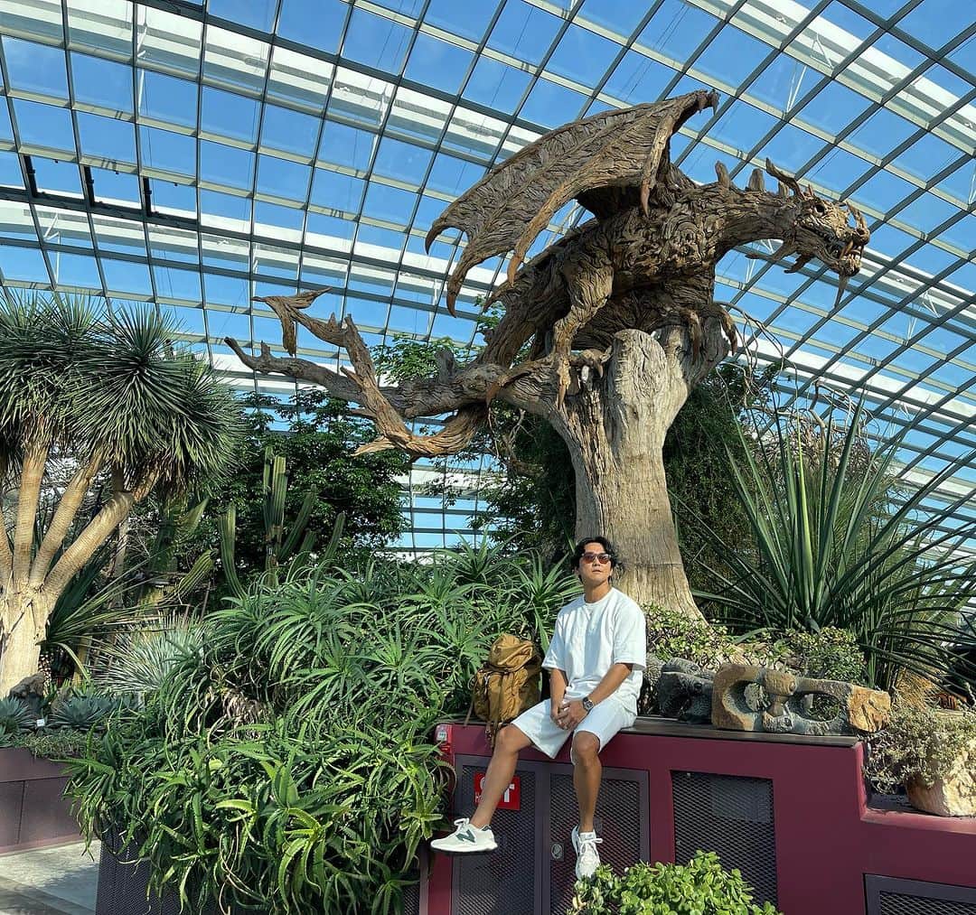 嵜本将光 のインスタグラム：「最も好きな場所のひとつ  #gardenbythebay  #gardenbythebaysingapore」